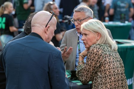 26091_ARF_256