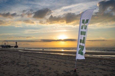 26091_ARF_303