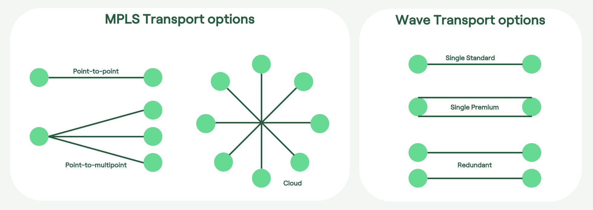 Optical fiber and logical dwdm mpls transport services